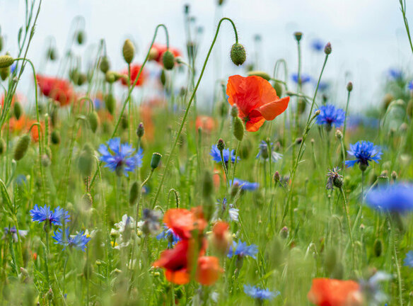 With a strong awareness of climate challenges, we are committed to consistently minimizing our environmental impact